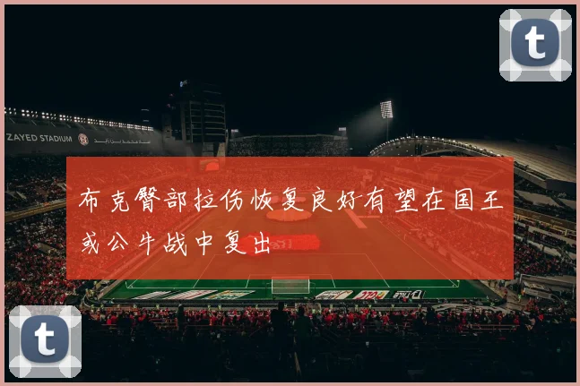 布克臀部拉伤恢复良好有望在国王或公牛战中复出
